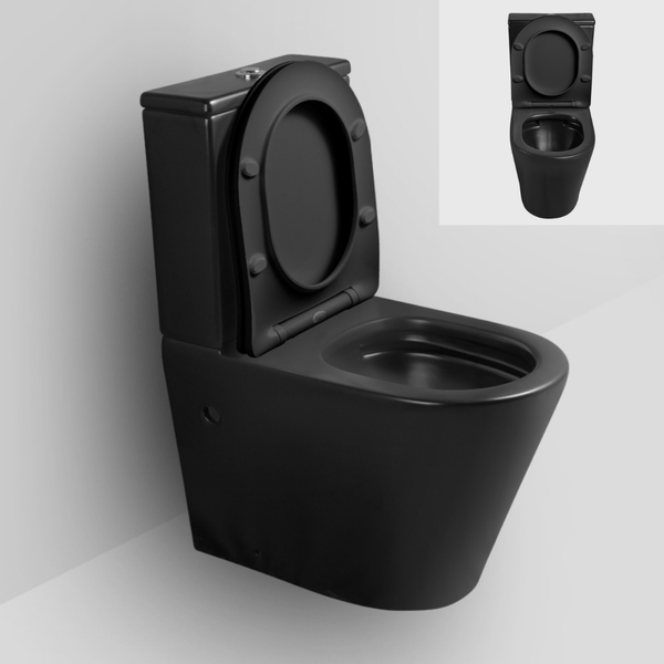 Matt Black Standard Back to Wall Toilet