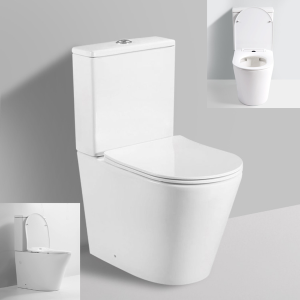 Standard White Back to Wall Toilet